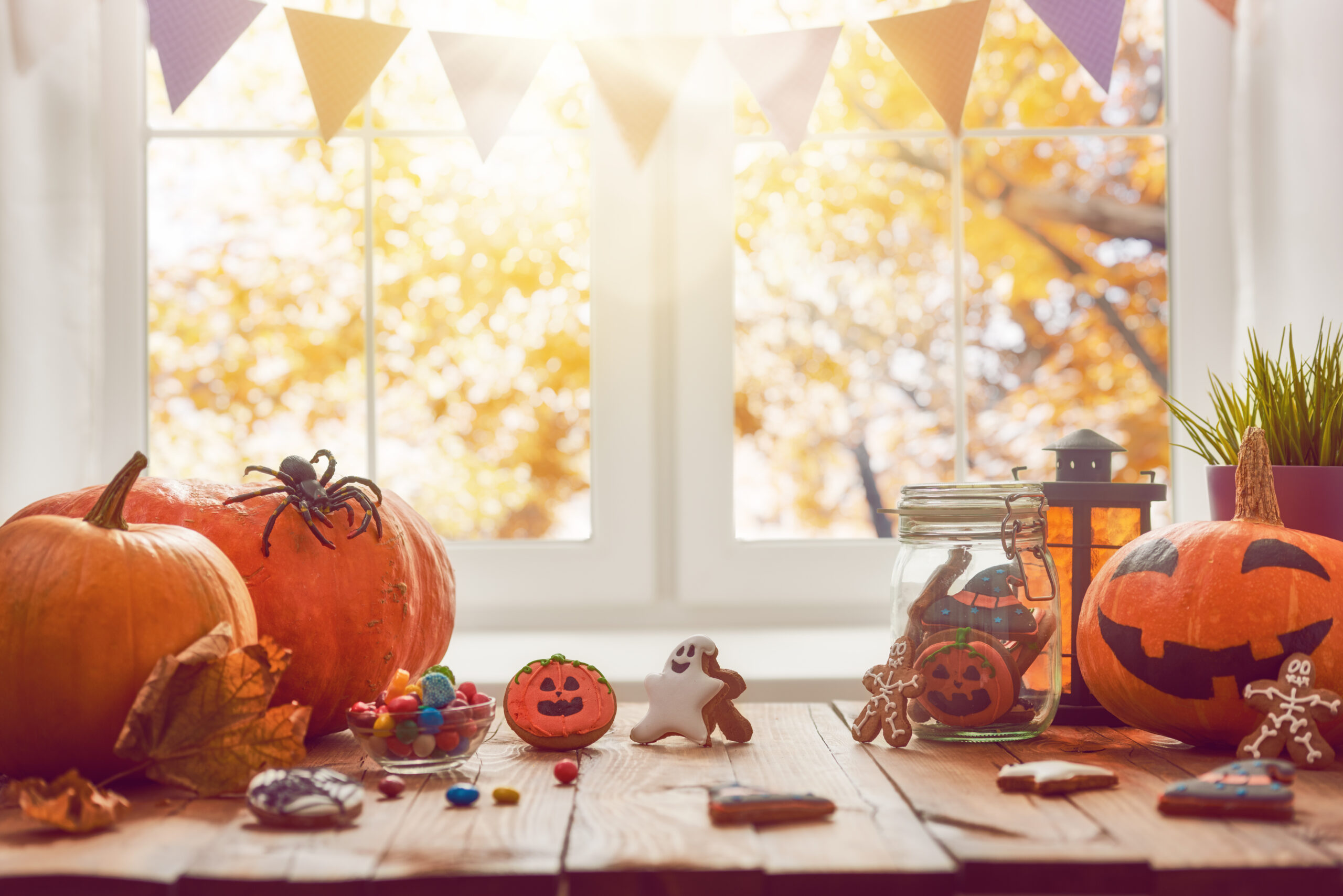Bijwonen bijkeuken fantoom Dit zijn de leukste manieren om je huis te versieren met Halloween - Bobo