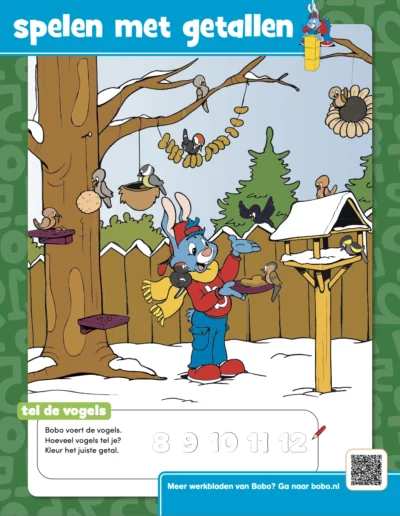 Vogels tellen - Winter